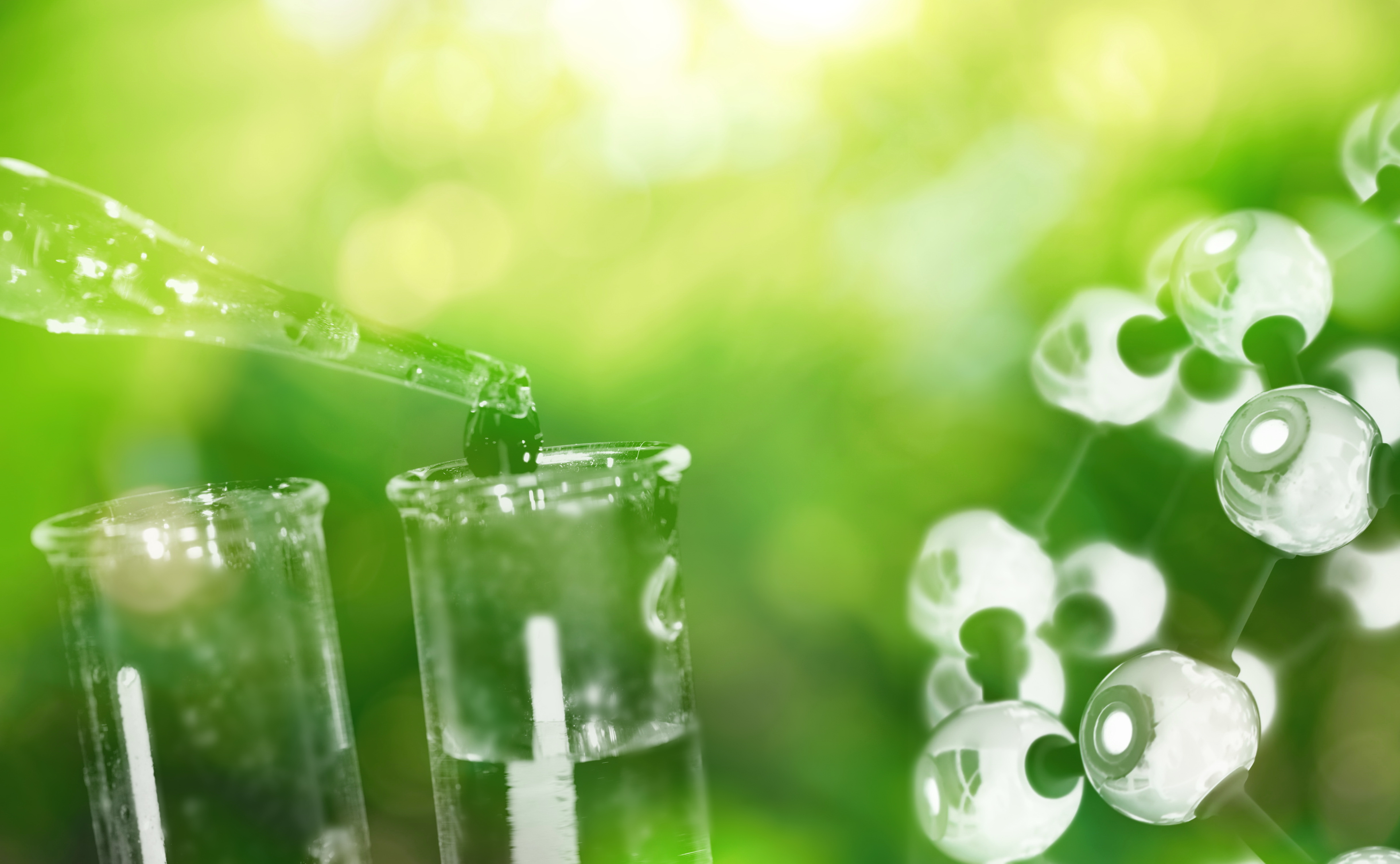 Enzyme: Der Schlüssel zu einer nachhaltigen Chemie. 